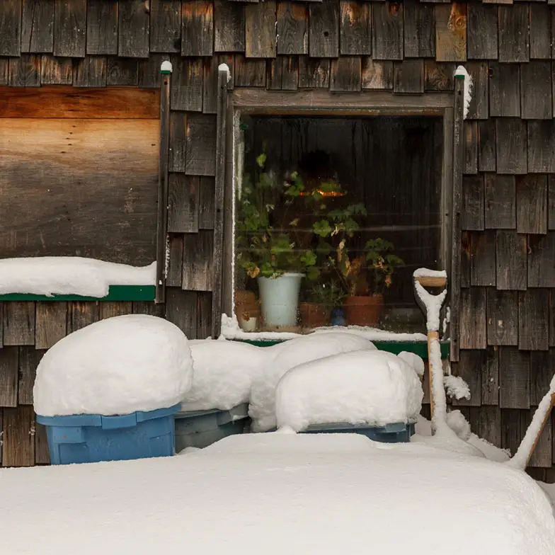 Front of cabin during winter